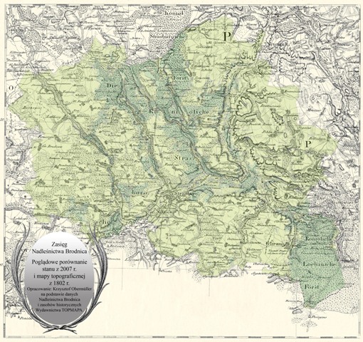 Zasięg Nadleśnictwa Brodnica na tle mapy topograficznej z 1802 roku